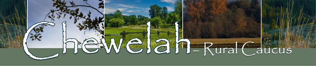 Chewelah Header Banner